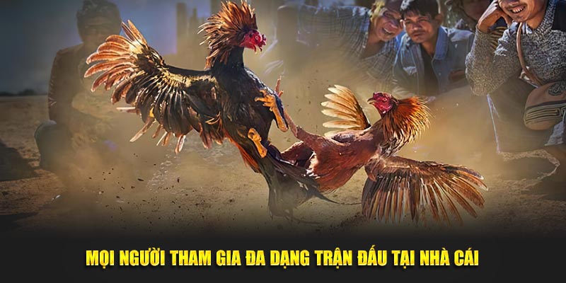 Mọi người tham gia đa dạng trận đấu tại nhà cái