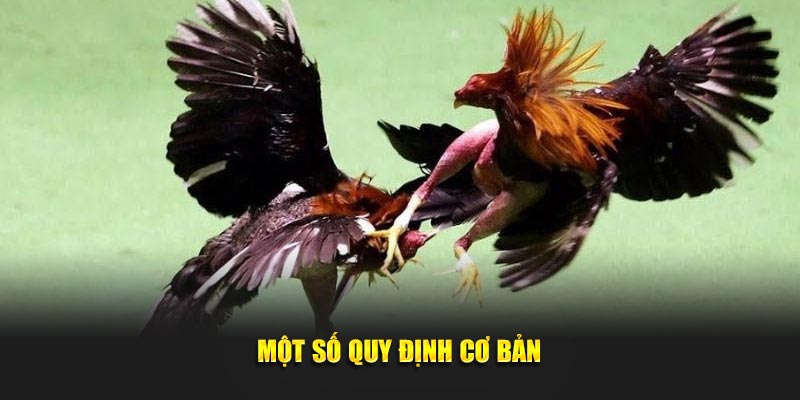 Một số quy định cơ bản