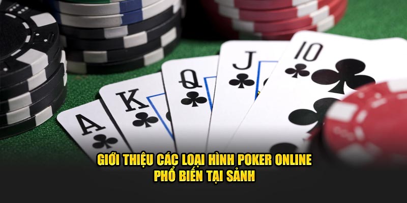 Giới thiệu các loại hình Poker Online phổ biến tại sảnh